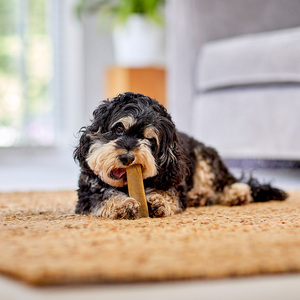 PALITOS Masticables de Madera de Café de Alta Calidad para Perros - Juguetes Naturales para Limpieza Dental y Premios para Mascotas - Product Image 5
