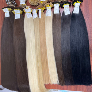 Cheveux de haute qualité - Vietnam - Prix de gros - Extensions à pointe plate - Lisses naturels dans des couleurs tendance - Couleurs très prisées - Vietnam - Product Image 2