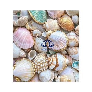 ARTÍCULOS DE VENTA POPULAR: Artesanías Ecológicas de Conchas Marinas |   Decoración y Joyería de Conchas Naturales Hechas a Mano Surtidas - Product Image 1