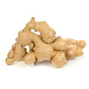 ขิงสดคุณภาพสูง - Product Image 4