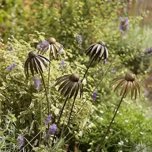 Piquets de jardin en métal à motif floral pour créer des décorations extérieures et améliorer l'esthétique paysagère saisonnière - Product Image 3