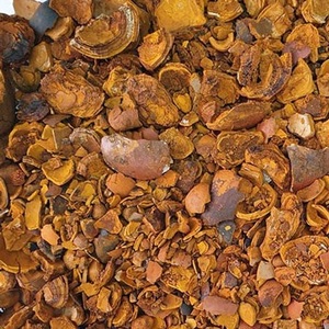 Cálculos Biliares Naturales de Vaca/Buey de Alta Demanda - Product Image 1
