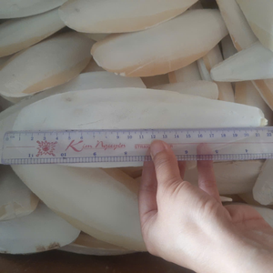 Hueso de Sepia Premium de 4-6 Pulgadas, Empaque en Blíster, 100% Natural, Fuente de Calcio para el Cuidado de Picos de Aves, 21 - Product Image 1