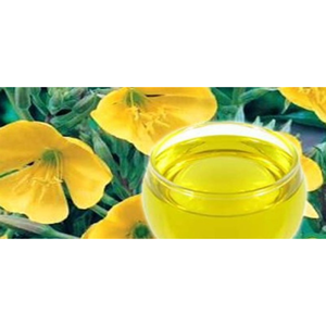Evening Primrose Oil Cold Pressed 100% Pure Natural Plant Oil for Skin Care <b>Bulk</b> Supply - Product Image 3