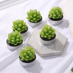 Velas Aromáticas TOOWIN con Diseños de Suculentas Artificiales, Velas Decorativas Románticas para el Hogar - Product Image 4