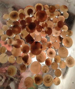 Botones de Cuerno de Búfalo, Botones de Cuerno de Vaca, Botones de Cuerno de Buey, en Bruto, Técnica Real, Color Número 09/10, de f s international agate - Product Image 4