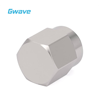 Accessoire connecteur en acier inoxydable passivé pour terminaison de charge RF 1,0 mm, capacité 1 Watt, jusqu'à 110 GHz
