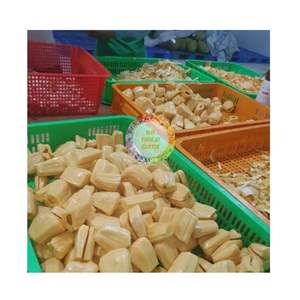 JACQUIFRUTA ORGÁNICA IQF EN OFERTA A PRECIO ECONÓMICO, DELICIOSA Y DULCE, PRODUCIDA EN VIETNAM, JACQUIFRUTA CONGELADA IQF DE ALTA CALIDAD - Product Image 2