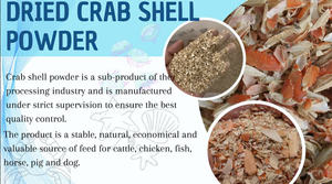 Concha de cangrejo limpia de Vietnam para decoración de uso culinario y grado de exportación artesanal - Product Image 3