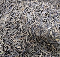 Hélicteres Isora séchées torsadées, non parfumées, matière végétale naturelle brute, Marod Fali pour la décoration et le pot-pourri