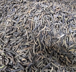 ดอกเฮลิคเทียร์แห้งแบบบิดเกลียว ไม่มีกลิ่น วัตถุดิบจากพืชธรรมชาติ สำหรับตกแต่งและทำโป๊ปปูรี - Product Image 6