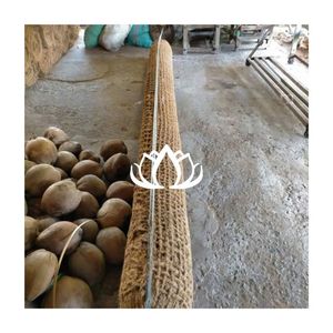 Meilleur choix : Bloc de fibre de coco pour la filtration de l'eau et le renforcement des terres – Fibre de coco pure pour la construction de barrières anti-inondation - Product Image 1