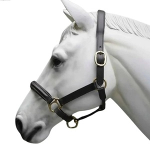 Cómodo y suave cabezal de cuero acolchado para caballo con herrajes de latón resistentes y ajustables. Tamaños personalizados disponibles. - Product Image 4
