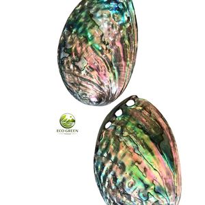 Vietnam Export Polished <b>Abalone</b> <b>Shell</b> Shiny Seashell for Handicraft Jewelry Making Home Decoration Premium Quality - Product Image 2