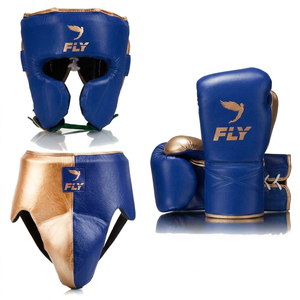 Set de Entrenamiento de Boxeo Todo en Uno con Guantes Protectores, Protector de Cabeza y Protector Inguinal para Uso en el Gimnasio - Product Image 1