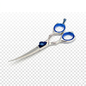 Ciseaux de coiffure professionnels en acier inoxydable, lame de rasoir, courbés, 6,5 pouces, instruments de beauté, approuvés CE, manuels - Product Image 1