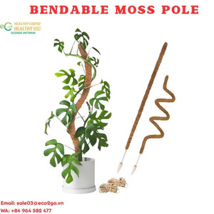 Poste de Musgo de Coco Natural – Soporte Ecológico para Plantas en Viveros, Centros de Jardinería y Plantas de Interior Eco2go Vietnam - Product Image 2