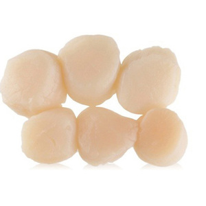 Deliciosos Mariscos Congelados, Vieiras con Media Concha, Buen Precio, Buen Sabor, Nueva Temporada, Vieiras Congeladas con Media Concha, Buen Precio - Product Image 1