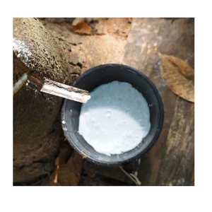 Látex de caucho natural blanco premium 100% puro líquido para la producción de guantes, fabricación de globos y exportación de adhesivos - Product Image 5