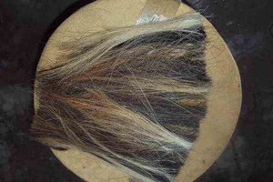 Extracto Animal Faizacraft Más Vendido, Pelo Natural Negro de Vaca y Cola de Búfalo - Product Image 6