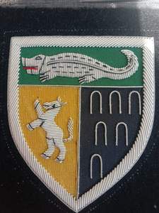 Parches Bordados a Mano Personalizados de Alta Calidad para Gorras, Tamaño Personalizado, Color Dorado - Product Image 3