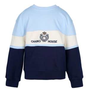 Prêt à expédier unisexe French Terry 360 GSM 100% coton sweat à capuche simple manches longues broderie adulte hommes et femmes Ryan Apparels - Product Image 1