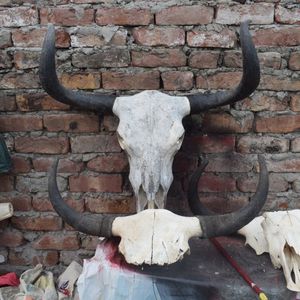 Cuerno de Búfalo Natural, Arte Mural Moderno con Tacto Real, Decoración de Interiores con Cabeza de Animal, Escultura Colgante de Pared - Product Image 6