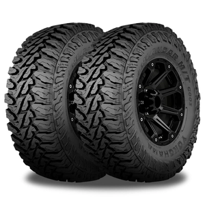 Nouvelles pneus radiaux 2025 Armstrong Desert Dog MT LT 185/60R14 121Q Charge E 10 plis M/T Tout-terrain sans chambre à air - Product Image 1
