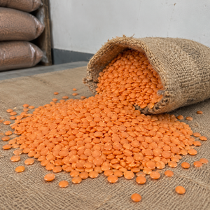 Proveedor de Alimentos Secos de Cosecha Fresca: Lentejas Orgánicas Secas Partidas con Procesamiento Natural y Empaque Limpio para Compradores de Alimentos - Product Image 1