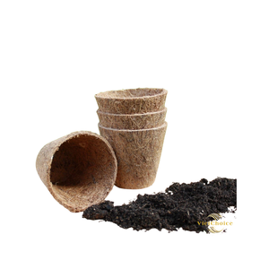 VietChoice Coir <b>Planter</b> Pot Natural Coconut Fiber Biodegradable Eco-Friendly Garden <b>Planters</b> for Seedlings and Green Plants - Product Image 4