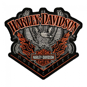 Écussons en chenille irréguliers 2025, badges tissés avec dos auto-agrippant, logo de marque en lettres, patch brodé en tissu, étiquette brodée - Product Image 4