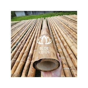 Poteau en bambou rigide très demandé, conçu pour la présentation de bannières et le soutien des plantes, en matériau de qualité alimentaire sans produits chimiques. - Product Image 1