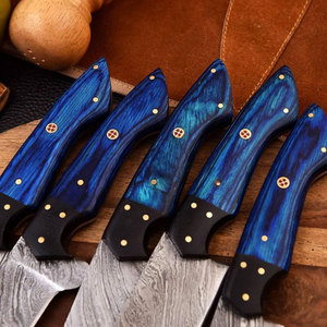Nuevo Juego de Cuchillos de Cocina Profesionales de 5 Piezas, Hechos a Mano con Acero de Damasco, Edición de Marca, Mango de Madera Pakka Azul - Product Image 2