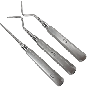 Juego de 3 Elevadores de Puntas para Raíces 78 79 80, Instrumentos Quirúrgicos Dentales para Extracción de Dientes, Puntas Puntiagudas de Acero Inoxidable - Product Image 1