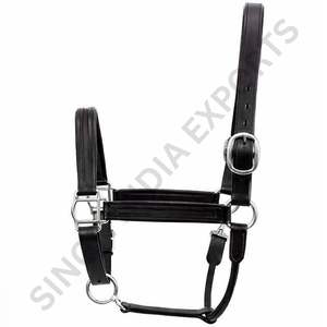 <b>Empty</b> Channel Horse Halter Genuine Leather Padded Adjustable Headcollar with Solid Brass Hardware Premium Equestrian Tack - Product Image 2