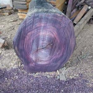 Troncos de Roble Sonokeling Premium de Alta Calidad Provenientes de Bosques Confiables para Exportación y Fabricación con Entrega Rápida - Product Image 4