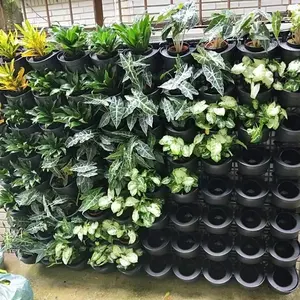 Kit de jardín vertical para colgar jardín maceta pared plástico auto riego