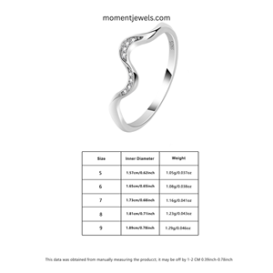 Anillo de Plata S925 con Incrustaciones de Circonio, Diseño Geométrico, para Mujer, Regalo para Bodas y Fiestas - Product Image 5