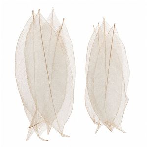 AQUA VRIKSHA Natural Skeleton Ylang Leaves for Crafts,Decoration | 11-15 CM | Pack of 250 - Product Image 1