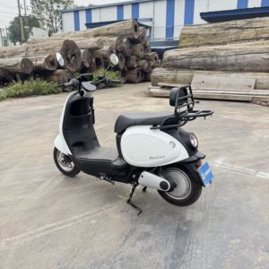 Porte-bagages arrière pour scooter électrique M-Biker VinFast Motio avec dossier passager en acier durable - Product Image 1