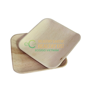 Assiettes de fête écologiques biodégradables en feuilles de palmier d'acacia naturelles, fournisseur en gros Eco2go Vietnam - Product Image 5