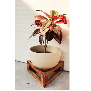 Macetero de Madera Natural Hecho a Mano para Exhibición de Plantas de Interior y Decoración del Hogar con un Elegante Aspecto Rústico - Product Image 2