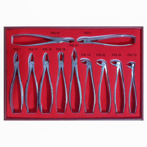 Adult Dental <b>Pliers</b> <b>Set</b> of Ten Stainless Steel Minimally Invasive Tooth Extraction Instruments and Tools by Blush surgical - Product Image 1