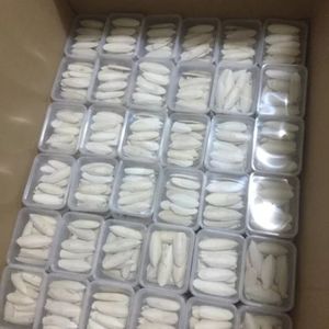 พร้อมส่ง ปี 2026 กระดูกปลาหมึก บล็อกแคลเซียมสำหรับนก สำหรับตัดแต่งจะงอยปากและกัดแทะในกรง - Product Image 3