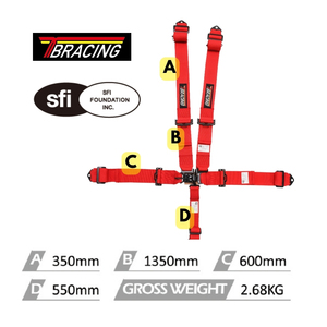 Custom Color TBRACING SF-501 5 Point Racing Harness SFI 16 1 Certified <b>Driver</b> Restraint Taiwan Factory OEM ODM Wholesale Supply - Product Image 5