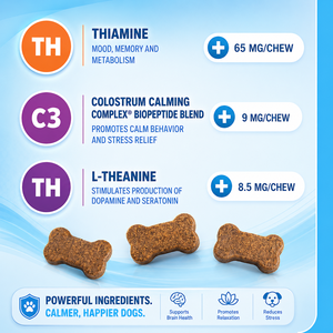Masticables Calmantes para Perros y Gatos, Suplementos Naturales para Mascotas para el Alivio del Estrés y la Relajación, Fabricante de Empaques Personalizados al por Mayor OEM ODM - Product Image 4