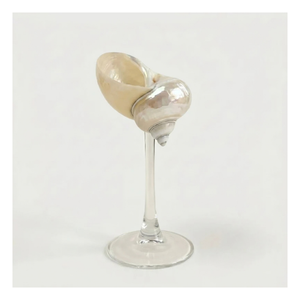 Verre à vin transparent style bohème côtier fait main avec longue tige et motif coquillage 101200 mL pour douche nuptiale et réception de bienvenue - Product Image 3