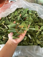 Essence de parfum naturel dans chaque feuille-100% poudre de pandan de feuilles de pandan séchées biologiques de Takimex