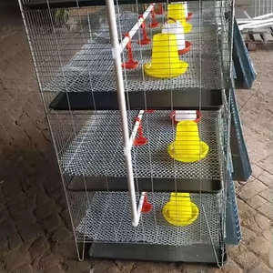 Di alta qualità del bambino pulcino H tipo 3/4 livelli da 90 a 320 uccelli pollame allevamento caldo zincato batteria Brooder gabbia di pollo per la vendita - Product Image 3