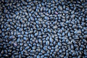 Semillas de Soja Negra Sin GMO de Alta Calidad, Secas, 25 kg, 24 Meses de Vida Útil, para Uso Alimentario y en Piensos - Product Image 5
